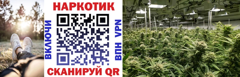 Цена Стерлитамак АМФ  Бутират  Кокаин  Codein  Псилоцибиновые грибы  Конопля 