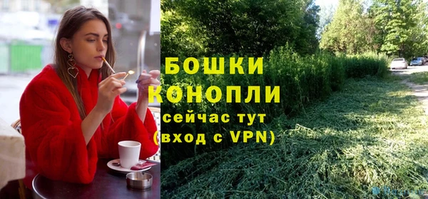шишки Гусь-Хрустальный