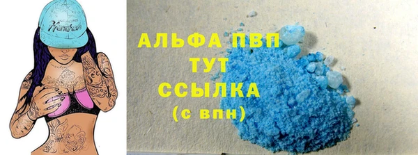 винт Дмитриев