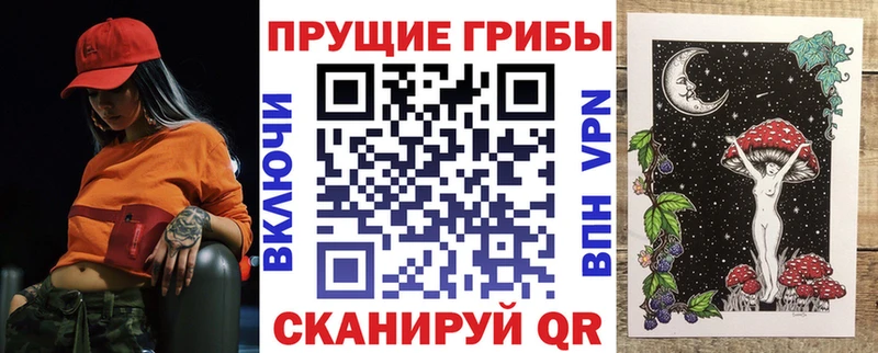 где можно купить   Стерлитамак  МЕГА вход  Псилоцибиновые грибы мухоморы 